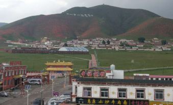 Haixinshan Hotel, Bird Island, Qinghai Lake