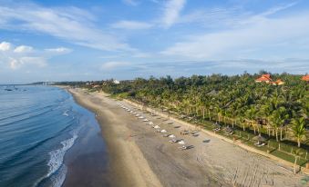 aerial view of a sandy beach with palm trees and lounge chairs , surrounded by the ocean at Pandanus Resort