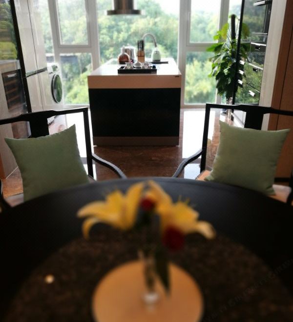 生态家总统套房