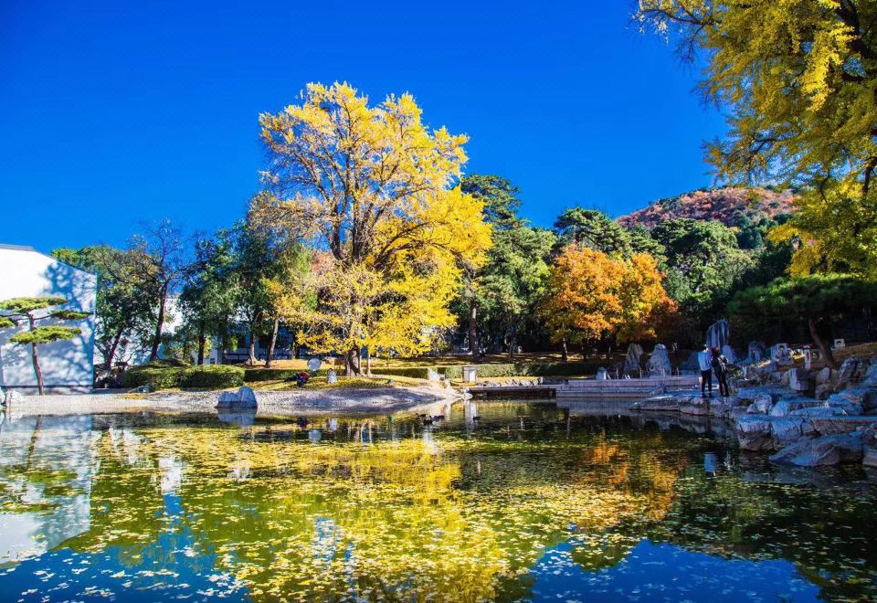 山景花園雙床房