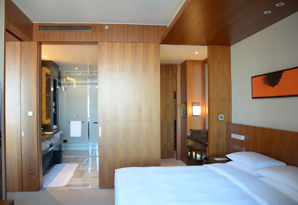 嘉宾轩行政套房