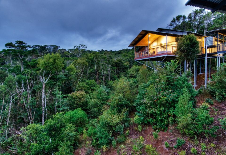 a modern , wooden house with a balcony is nestled in the trees at dusk , surrounded by lush greenery at O'Reilly's Rainforest Retreat