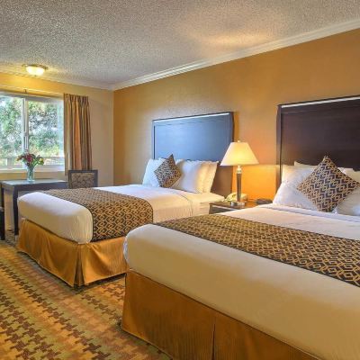 Two Queen Room Silver Surf Motel San Simeon Promo Code