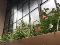 上海南京路步行街錦江都城南京飯店