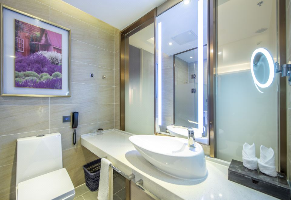 家庭房（智能客控+记忆枕）