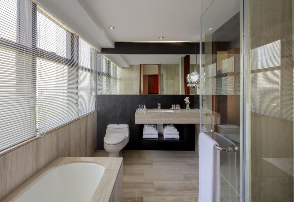 Radisson Blu Hotel LiuzhouSuperior Studio Room