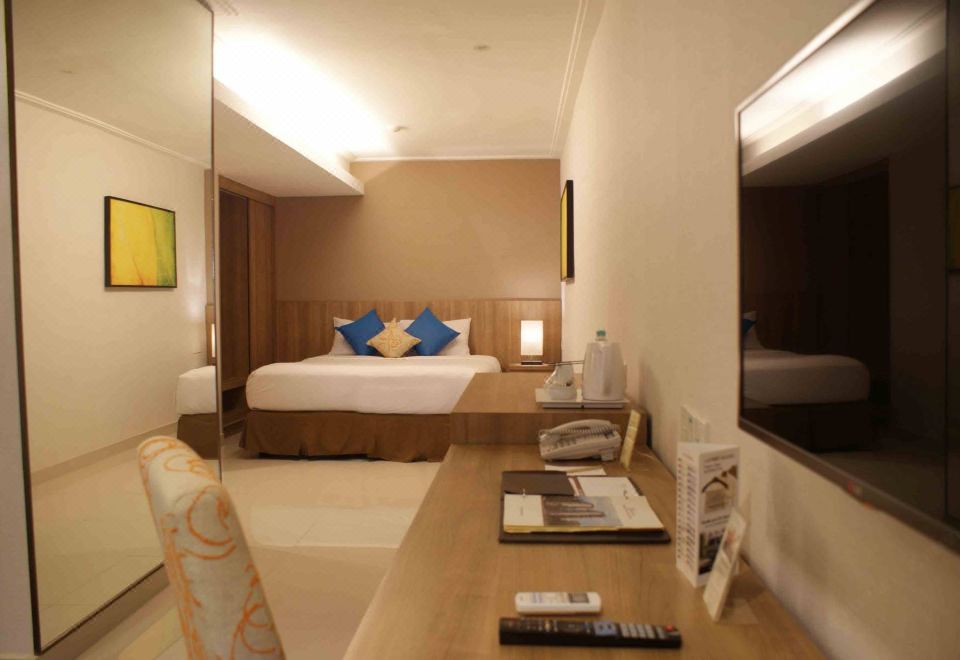 豪华房 - 29 平方米