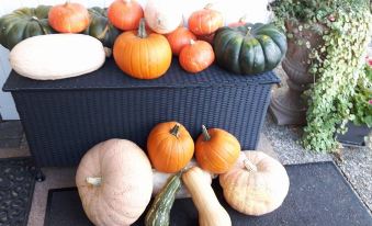 a variety of pumpkins and squash displayed on a table , creating a colorful and artistic display at Hotel Waldhaus
