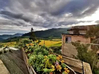 The Twelve Manor Terraces Hostel Hotels in 
