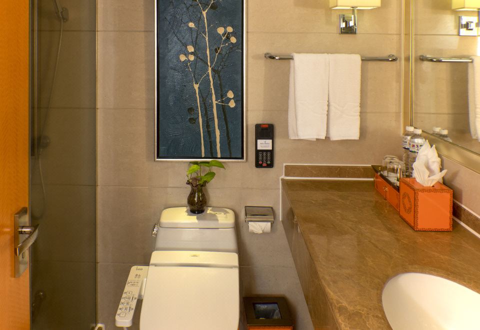 豪华城景双床房【深睡枕+电动沙发】