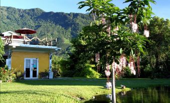 Hualien Tree Lake