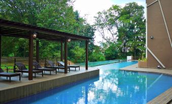 a beautiful outdoor pool area with sun loungers , umbrellas , and trees , under a wooden structure at Hotel Grand Baron