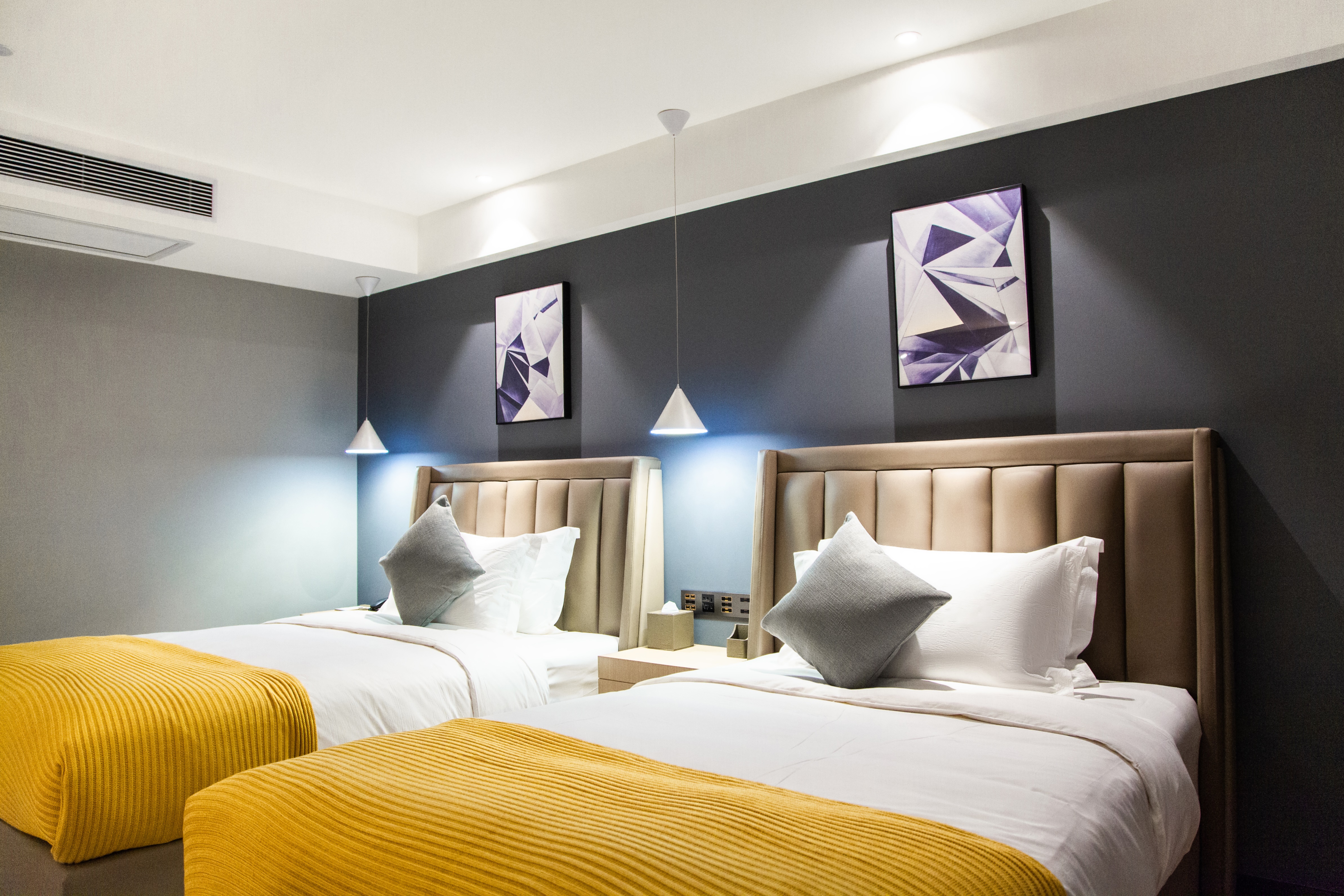 漫雅双床房（衣帽间+零压记忆床垫+智能客控）