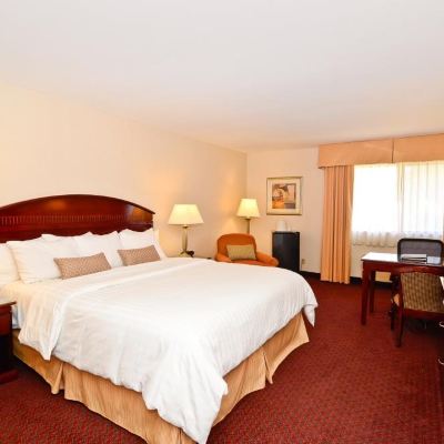 1 張特大床 貝斯特韋斯特優質西科維納酒店優惠