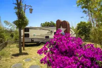 Zhenfeng Sanchahe Starry Sky Homestay