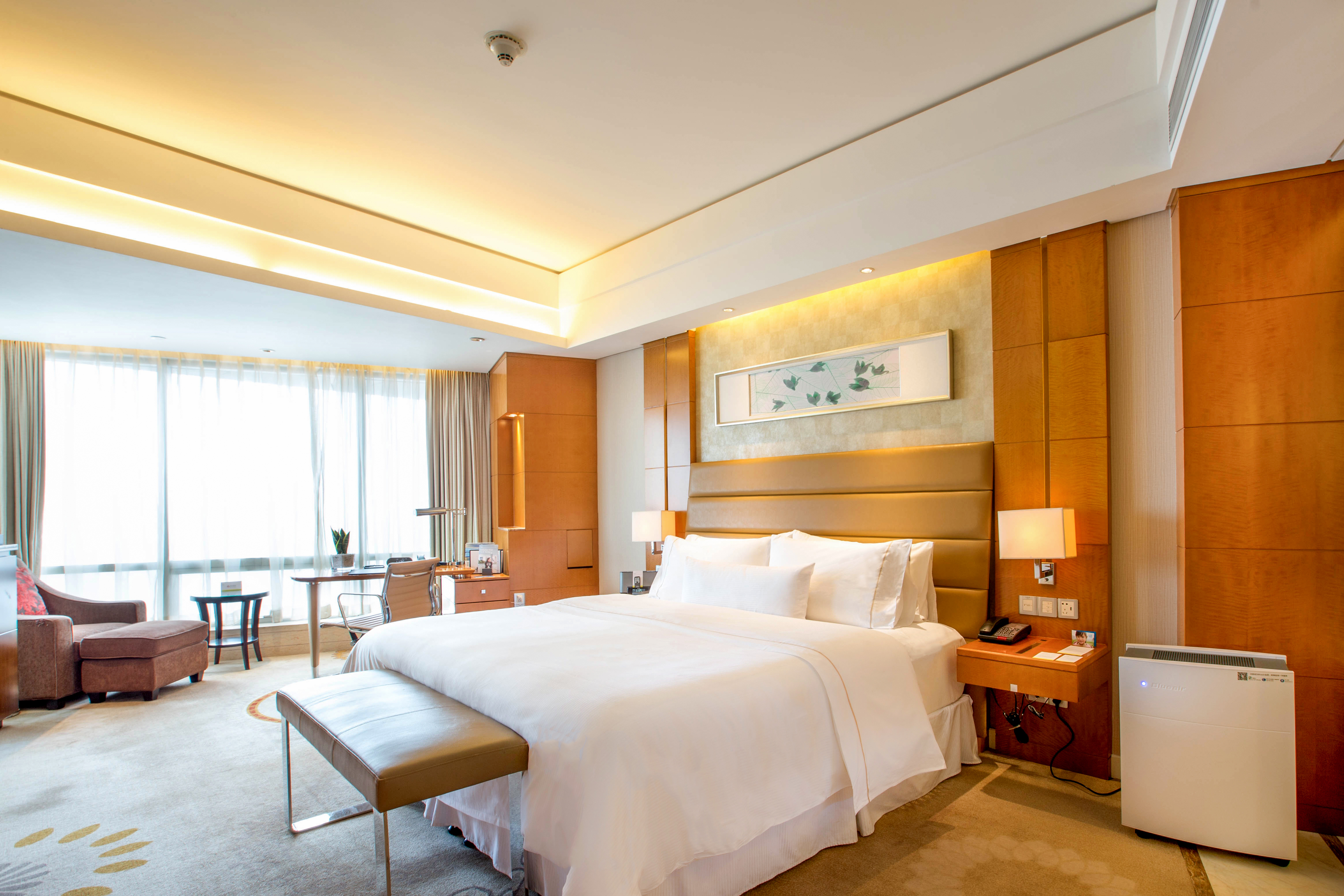 尊享更高楼层湖景大床房·享玄武湖紫金山美景