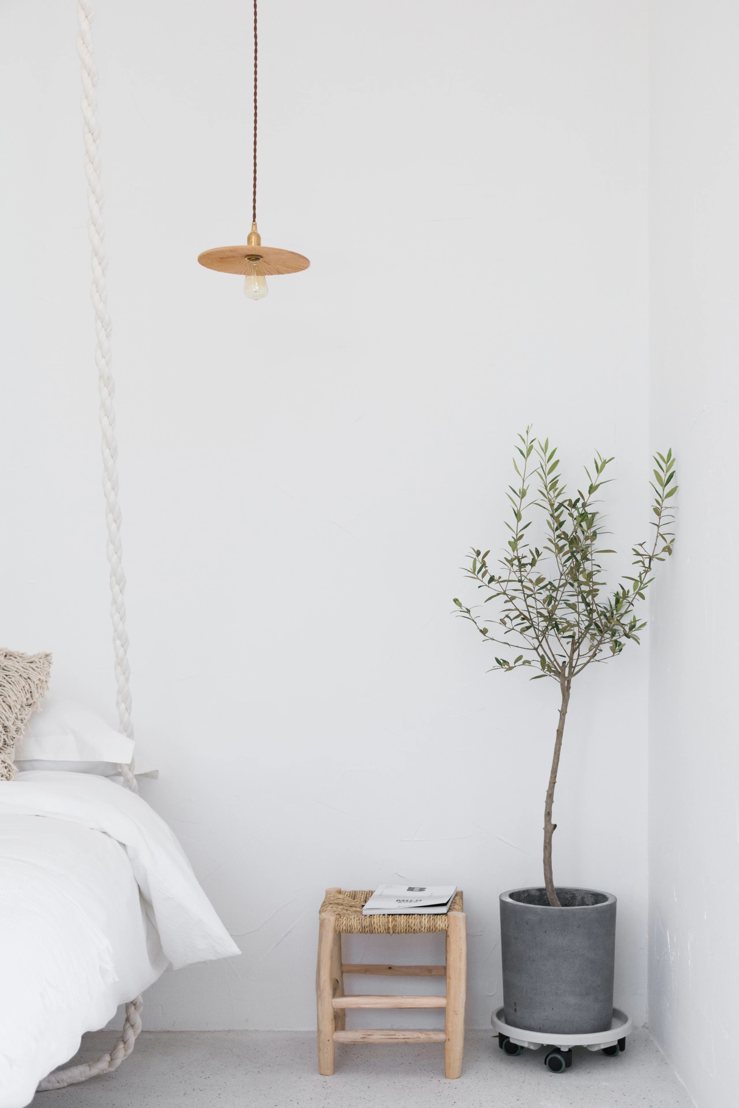 雪松｜「私享露台·超大出片cafe空间」