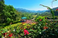 Hezhou Senbake Estate Treehouse Homestay
