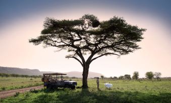 One Nature Nyaruswiga Serengeti