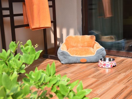 嘉賓軒寵物雙床房