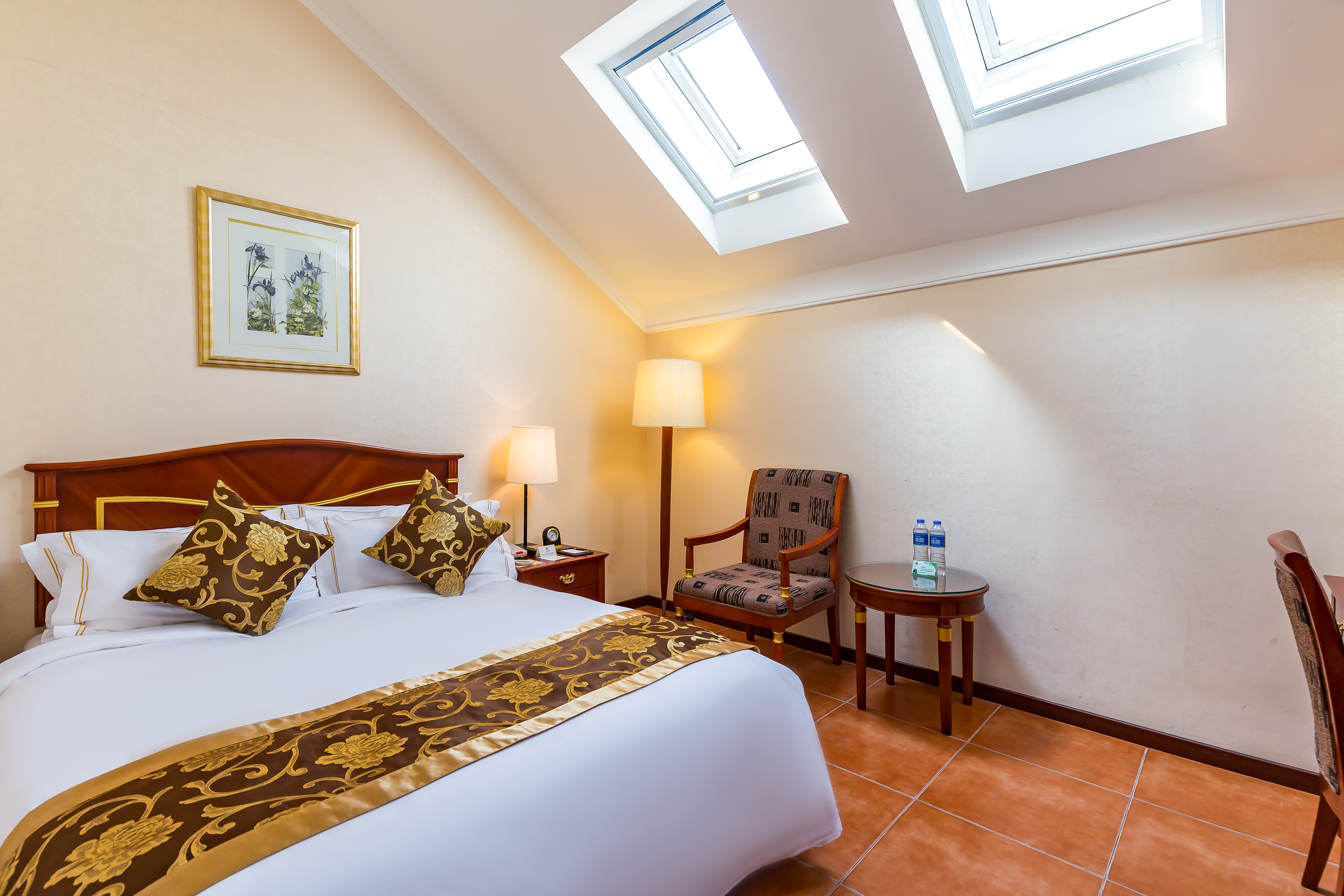 欧式斜顶天窗房