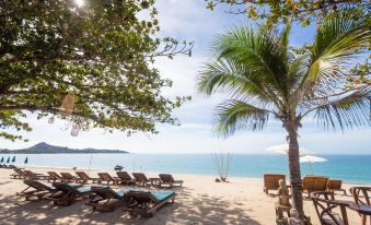 Lamai Coconut Beach Resort
