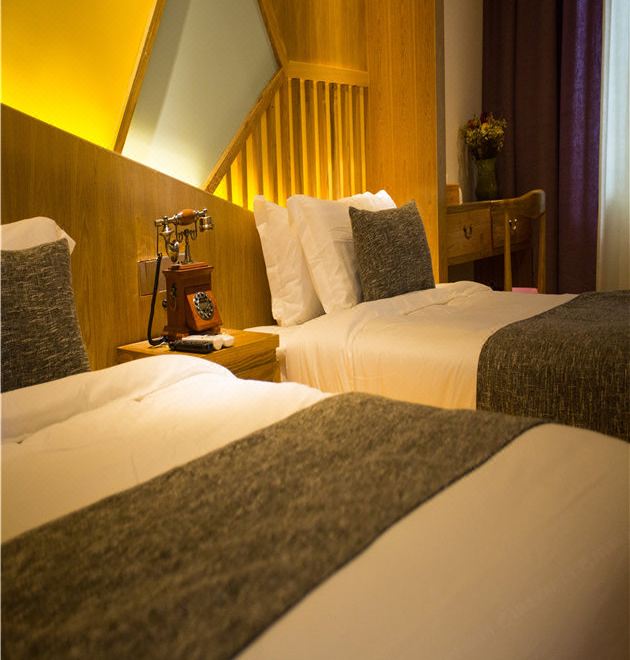 心静半夏双床房