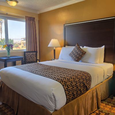 Queen Room Silver Surf Motel San Simeon Promo Code