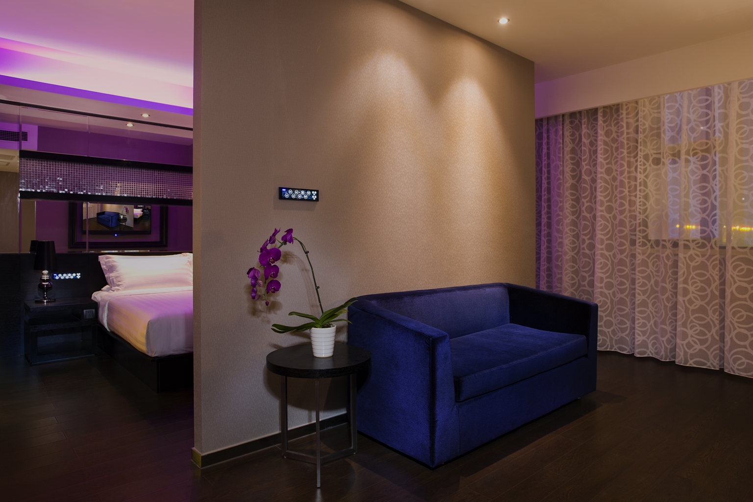 豪華小套房（小冰箱＋深度睡眠枕）