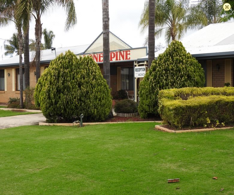 "a green lawn in front of a building with the word "" pine "" on it , surrounded by trees and bushes" at Lone Pine Motel