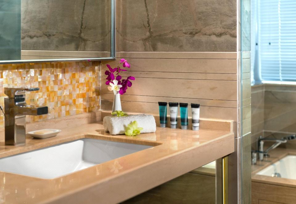 一房豪华套房（冰箱+洗烘一体机）