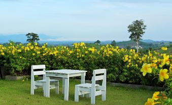 a white table and chairs are set up on a grassy lawn , surrounded by yellow flowers at Veravian Resort