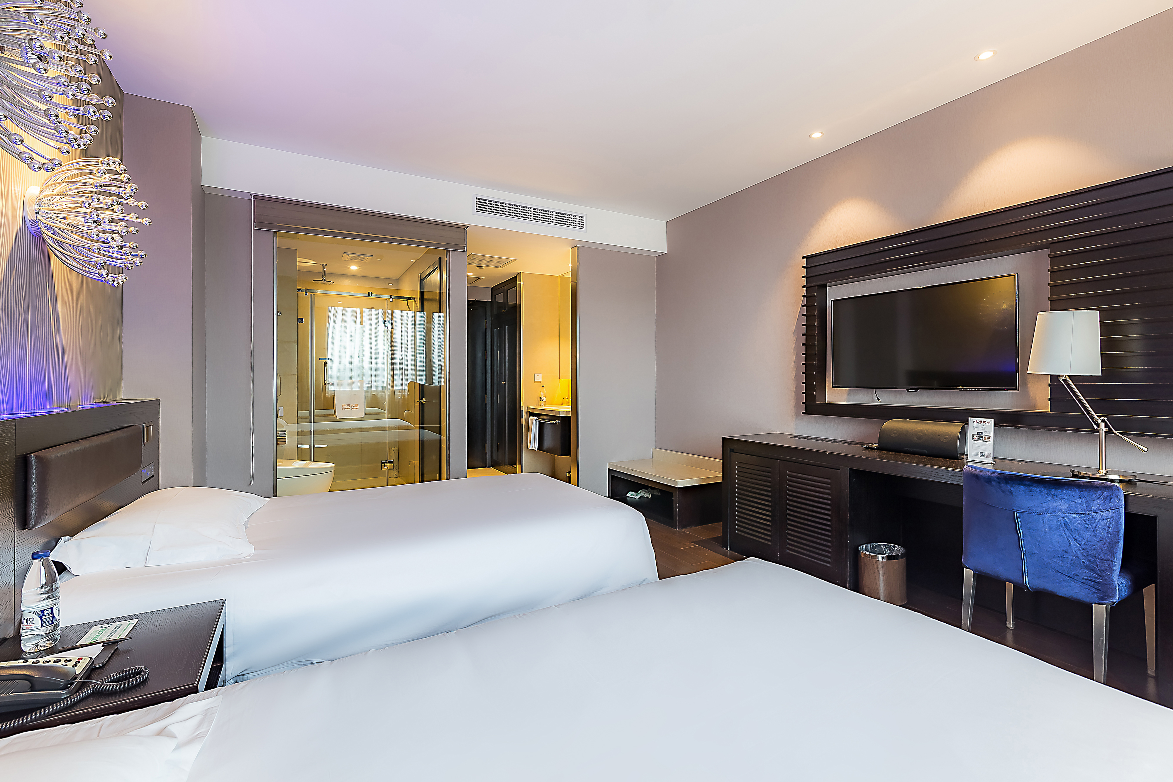 豪华双床房（电视投屏+小冰箱）