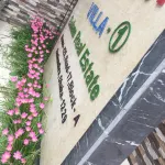 Mango Hotel Hotels in 