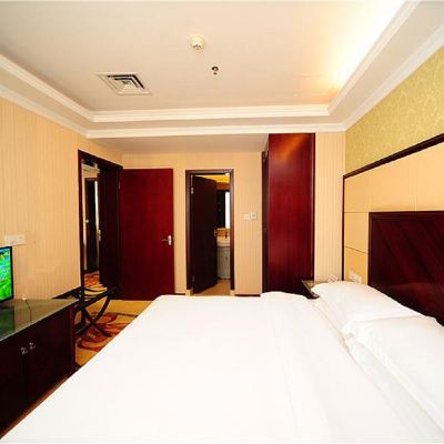 豪華套房 維也納飯店（深圳南新路店）優惠