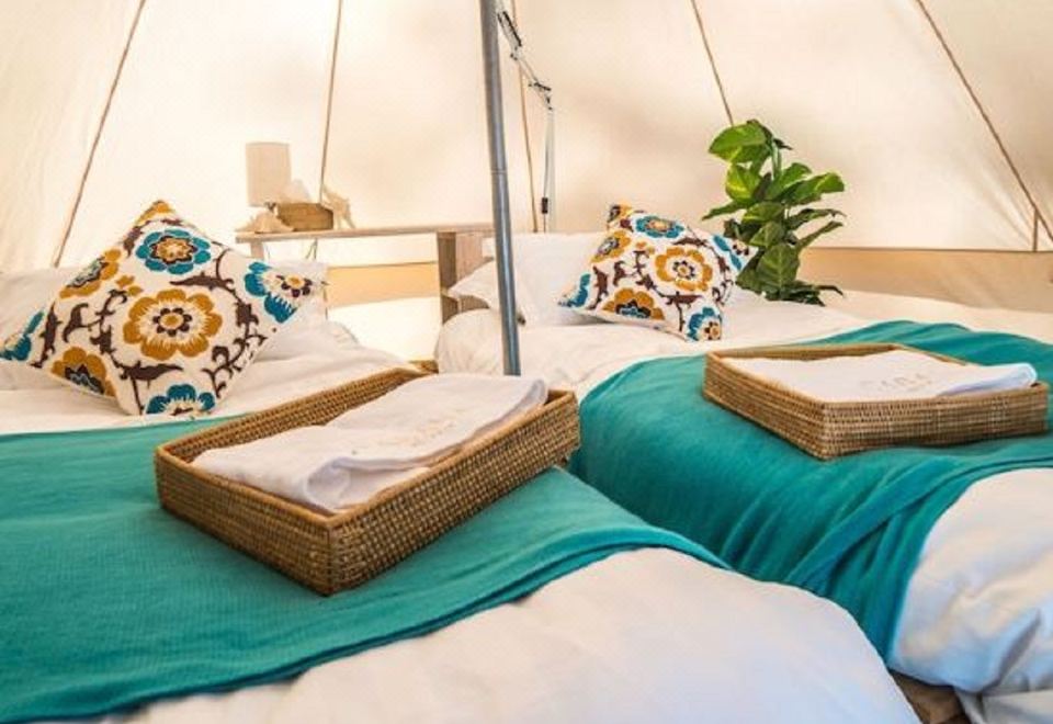 a white tent with two beds , one on top of the other , and a potted plant in the corner at Cabana Retreat - Glamping