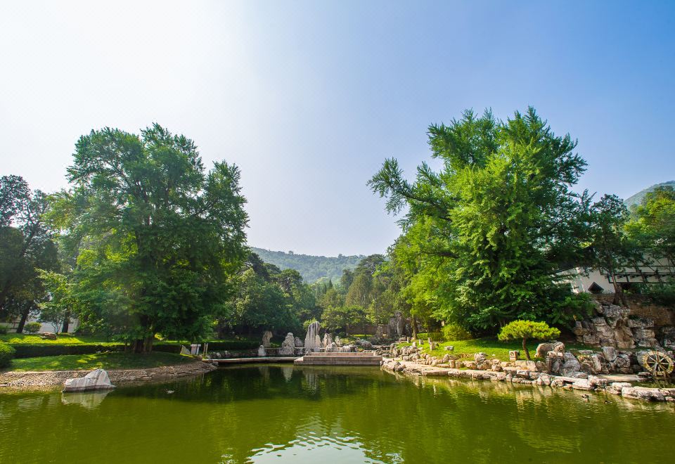 山景景觀大床套房