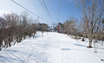 a snowy path leading to a ski lift , with trees and power lines in the background at Hotel Wing International Himeji