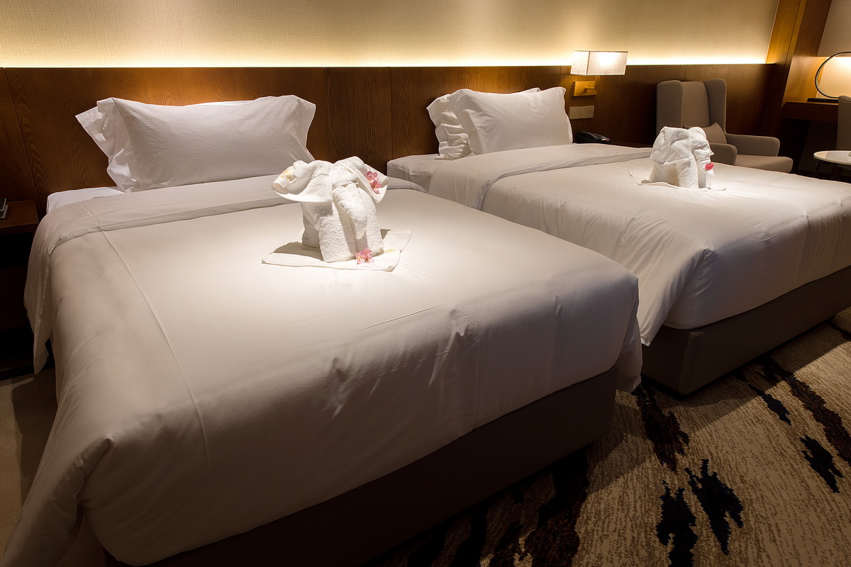 江语豪华双床房