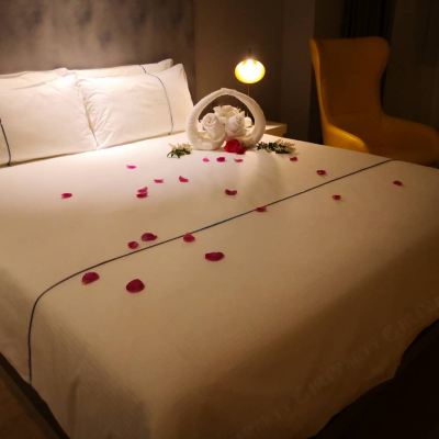 白玉蘭主題房 白玉蘭飯店（上海閔行吳涇華師大店）優惠