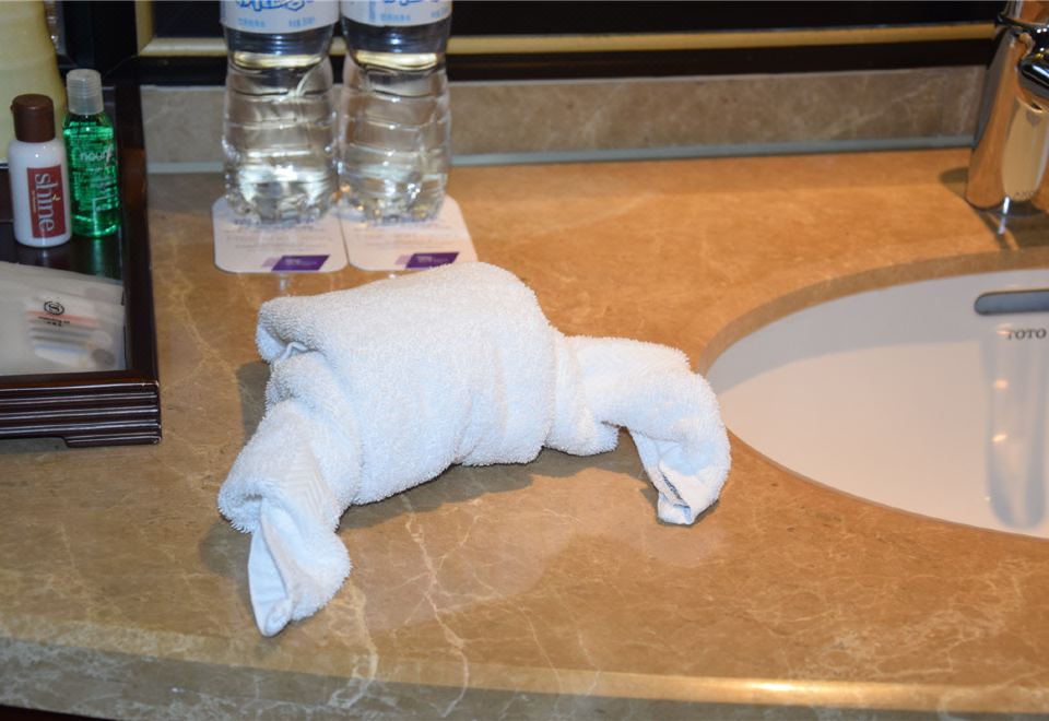 跑來跑去反斗城豪華親子房