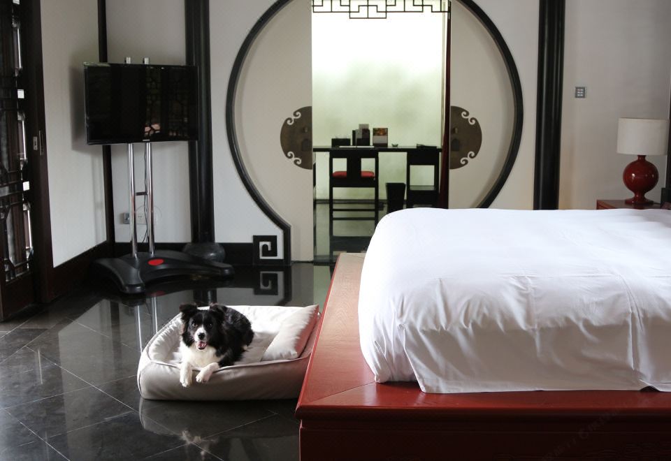 瑤月愛寵泳池別墅