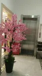 Da'an Shengxuan Jiahe Hotel