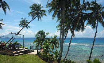 a tropical beach with palm trees and a view of the ocean , taken from a balcony at Taveuni Palms Resort