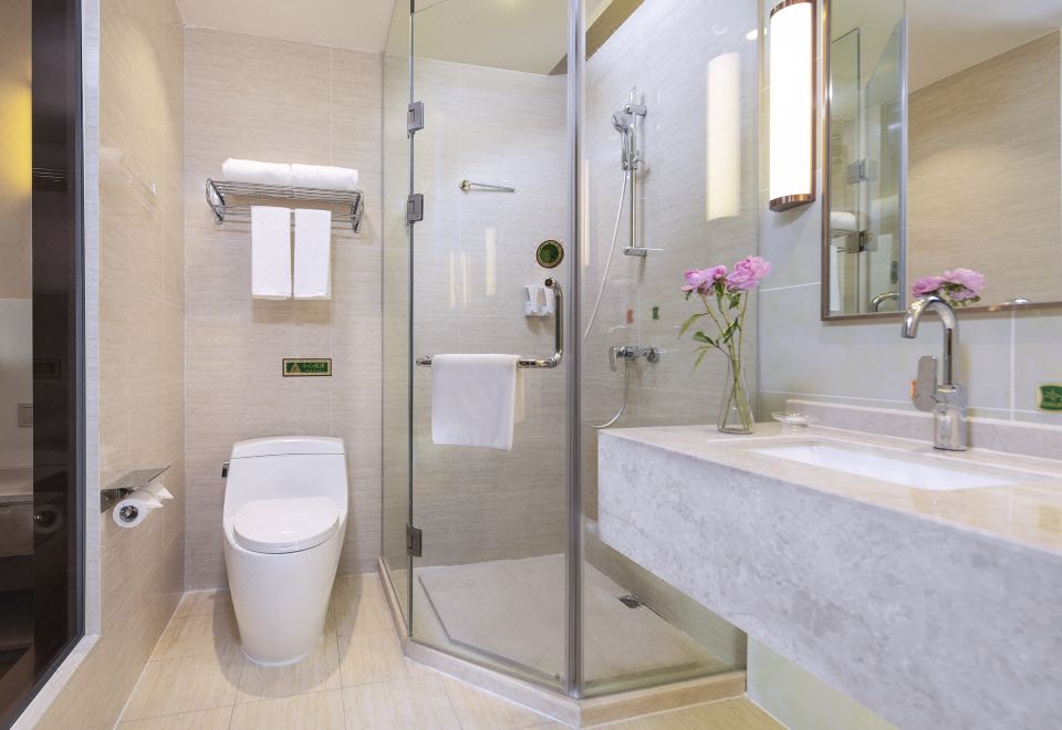 Vienna International Hotel (Chengdu Pidu Bailun Plaza)Business Double Room