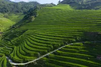 花築·龍勝龍脊雲墅民宿（龍脊平安梯田七星伴月觀景台店）