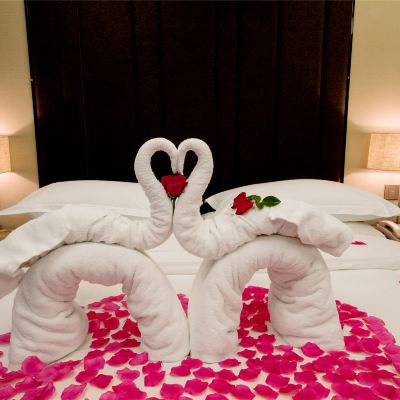 浪漫傾心主題房 維納斯皇家飯店（桂林象鼻山日月雙塔店）優惠