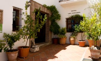 Hotel Los Castaños - Housity