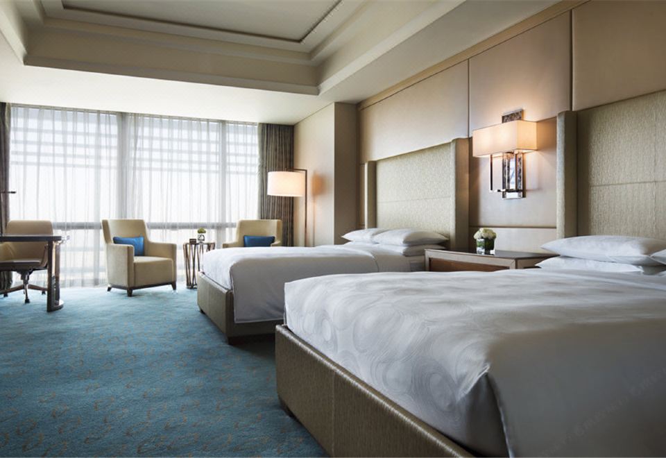 行政双床房【舒享云端·加宽舒阔双床】