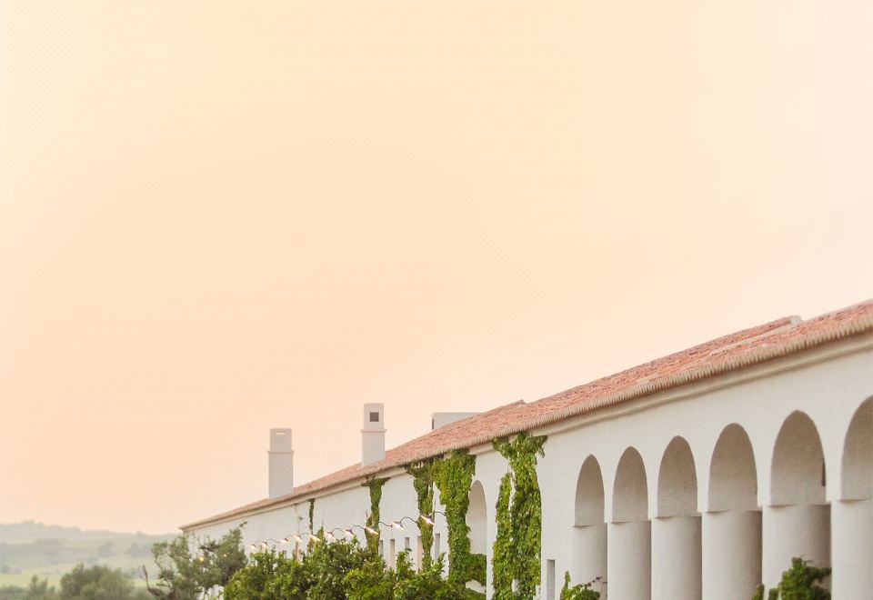 a long row of white buildings with arches and grapevines growing on them , set against a backdrop of trees and a pink sky at Sao Lourenco do Barrocal